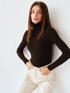 Basic Turtleneck Knitted Sweaters Autumn Winter Thick Warm