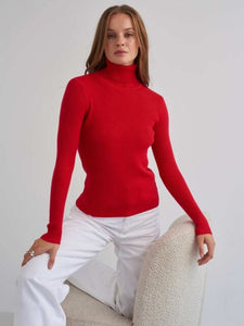 Basic Turtleneck Knitted Sweaters Autumn Winter Thick Warm