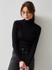 Basic Turtleneck Knitted Sweaters Autumn Winter Thick Warm