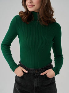 Basic Turtleneck Knitted Sweaters Autumn Winter Thick Warm