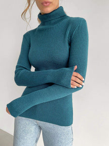 Basic Turtleneck Knitted Sweaters Autumn Winter Thick Warm