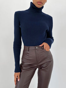 Basic Turtleneck Knitted Sweaters Autumn Winter Thick Warm