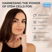 Load image into Gallery viewer, Niacinamide Hyaluronic Acid Collagen Face Cream with Airless Pump