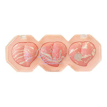 Load image into Gallery viewer, Matte Powder Blusher Palette Blush