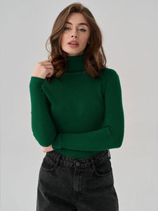 Turtleneck Knitted Sweater Autumn Winter Long Sleeve Pullovers