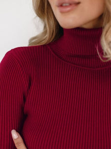 Turtleneck Knitted Sweater Autumn Winter Long Sleeve Pullovers