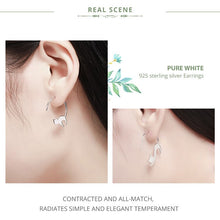 Load image into Gallery viewer, NEW Animal Collection Cute Napping Little Cat Earrings for Women