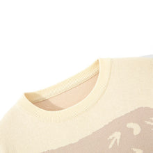 Load image into Gallery viewer, Casual Sweater Men Harajuku Style Knitted Pullover