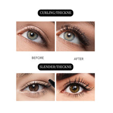 Load image into Gallery viewer, 5 Piece/Packs Makeup Curling Thick Mascara Volume Express False