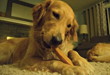 Load image into Gallery viewer, EcoKind Gold Yak Dog Chews Grade A Quality 100% Natural, Healthy &amp;