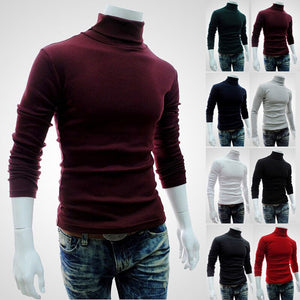Sweater Turtleneck Solid Color