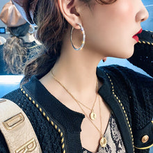 Load image into Gallery viewer, Butterfly Big Hoop Crystal Circle Earrings