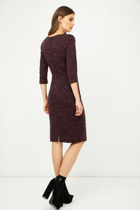 Woollen Aubergine Winter Fitted Dress