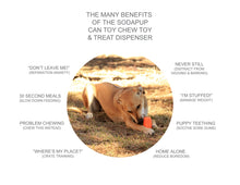 Load image into Gallery viewer, SP Can Toy Durable Rubber Chew Toy &amp; Treat Dispenser - Lemon Lime
