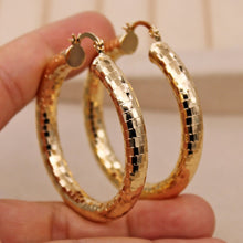 Load image into Gallery viewer, Classic Trendy Eardrop Round Gold Earring Hoop Earrings