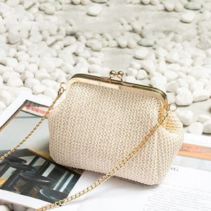 Women New Chains Straw Bag Mini Shell Personality All match