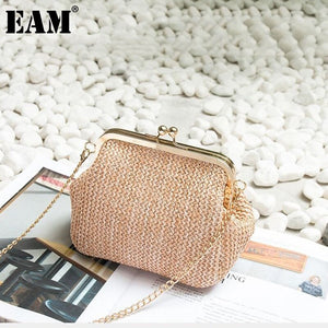 Women New Chains Straw Bag Mini Shell Personality All match