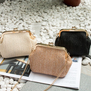 Women New Chains Straw Bag Mini Shell Personality All match