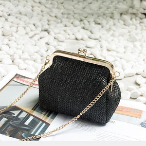 Women New Chains Straw Bag Mini Shell Personality All match