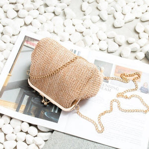 Women New Chains Straw Bag Mini Shell Personality All match