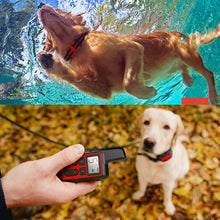 Load image into Gallery viewer, Electric Dog Training Collar Waterproof Pet Remote Control