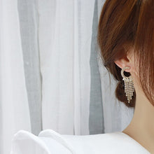 Load image into Gallery viewer, Exquisite Super Shine Tassel Crtysal Earring for Women AAA Cubic
