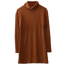 Load image into Gallery viewer, Fashion Autumn Spring Winter Women Casual Turtleneck Pullover Long
