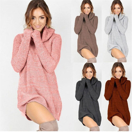 Fashion Autumn Spring Winter Women Casual Turtleneck Pullover Long