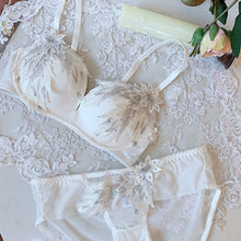 Load image into Gallery viewer, Fashion Brand Underwear Set Sexy Lace Embroidery Wing Push Up Bra Set