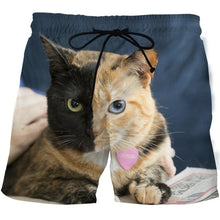 Load image into Gallery viewer, Funny Smelly Face Cat 3D Printed Mens Shorts Mesh Lining Comfortable