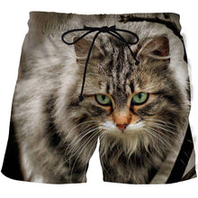 Load image into Gallery viewer, Funny Smelly Face Cat 3D Printed Mens Shorts Mesh Lining Comfortable