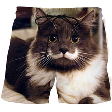 Load image into Gallery viewer, Funny Smelly Face Cat 3D Printed Mens Shorts Mesh Lining Comfortable