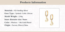Load image into Gallery viewer, GS 1 Pair Sterling 925 Silver Huggie Earring AAAAA Boucle Oreille