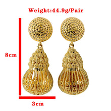 Load image into Gallery viewer, Hollow Out Gourd Shaped Luxurious Style Exquisite Women Earring 2021