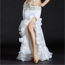 Load image into Gallery viewer, Belly Dance Skirt
