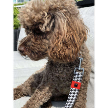 Load image into Gallery viewer, Xolotl pied de poule dog leash