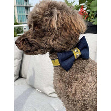 Load image into Gallery viewer, Mustard honeycomb denim dog bow tie