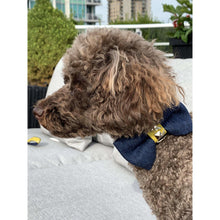 Load image into Gallery viewer, Mustard honeycomb denim dog bow tie