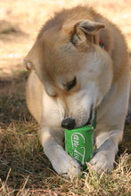 Load image into Gallery viewer, SP Can Toy Durable Rubber Chew Toy &amp; Treat Dispenser - Lemon Lime