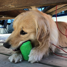 Load image into Gallery viewer, SP Can Toy Durable Rubber Chew Toy &amp; Treat Dispenser - Lemon Lime