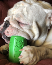 Load image into Gallery viewer, SP Can Toy Durable Rubber Chew Toy &amp; Treat Dispenser - Lemon Lime