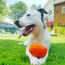 Load image into Gallery viewer, SN Rocketman Durable Rubber Treat Dispenser &amp; Chew Toy