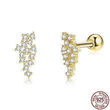 Load image into Gallery viewer, Real Mesh 925 Sterling Silver Stud Earrings For Women 5A Clear
