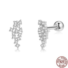 Load image into Gallery viewer, Real Mesh 925 Sterling Silver Stud Earrings For Women 5A Clear