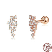 Load image into Gallery viewer, Real Mesh 925 Sterling Silver Stud Earrings For Women 5A Clear