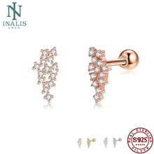 Load image into Gallery viewer, Real Mesh 925 Sterling Silver Stud Earrings For Women 5A Clear