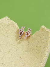 Load image into Gallery viewer, Real Mesh 925 Sterling Silver Stud Earrings For Women 5A Clear