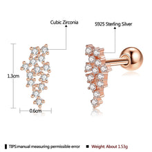 Load image into Gallery viewer, Real Mesh 925 Sterling Silver Stud Earrings For Women 5A Clear