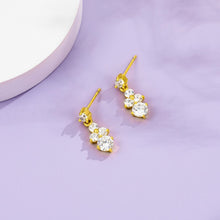 Load image into Gallery viewer, INALIS Romantic Earrings For Women Classic Style Inlay Big Clear