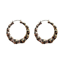 Load image into Gallery viewer, Leopard Print Temperament Simple Big Earrings Personality Versatile